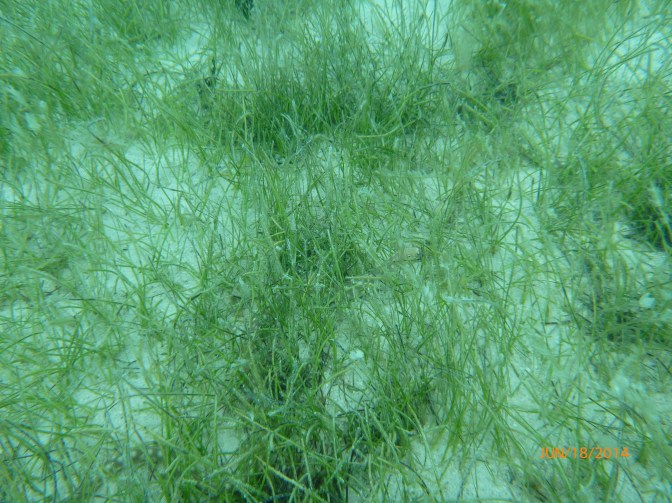P1020228