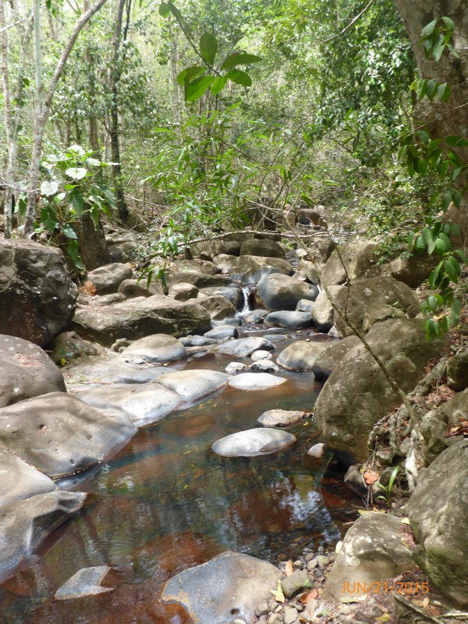 P1000404