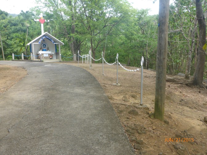 P1000422