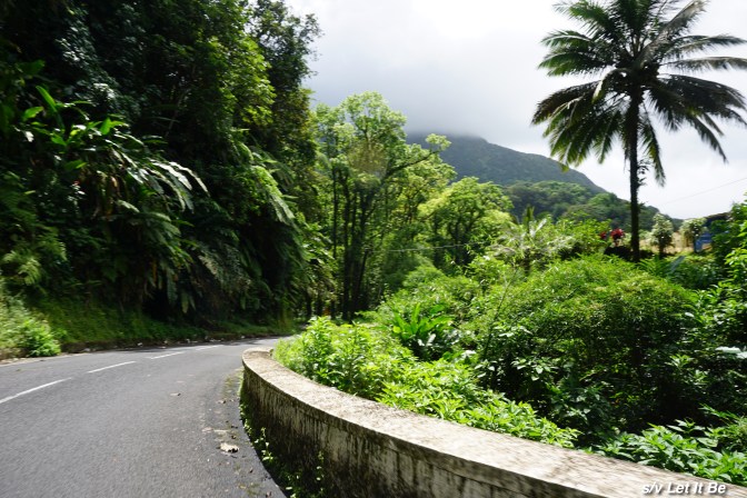 martinique-3