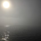 Away We Go ~ ICW Week One