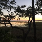 Scooting Through South Carolina
