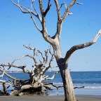 Georgia ~ A History of Wealth