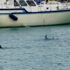 LIB is a Sailing Vessel Once Again!