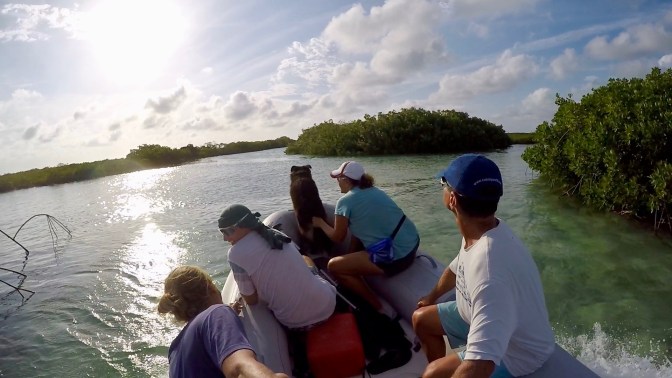 Frame-16-05-2017-11-02-08