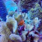 Goodbye Aruba, Hello Bonaire!