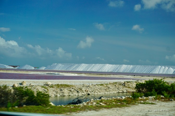 Bonaire-11