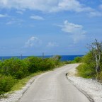 Bonaire: It’s Equally Interesting Above the Water.