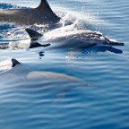 Leaving Bonaire. It’s Hard to Say Goodbye.