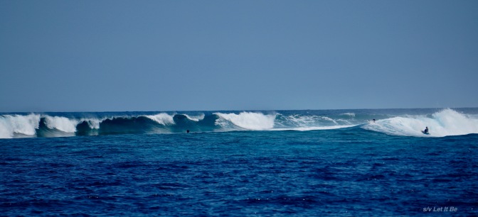surfs up-1