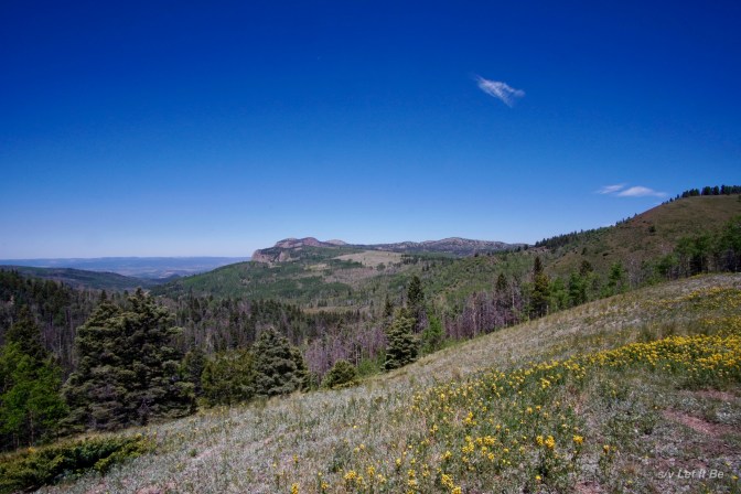 drive to carbondale-2