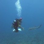 Missing the Twin Cayes, Drowned Cayes and Especially Caye Caulker