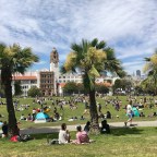 Santa Cruz with a Sprinkle of San Fran and a Dash of Google