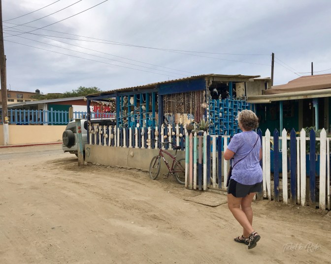 HaHa in Turtle Bay-1