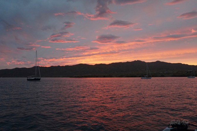 HaHa Turtle bay sunset