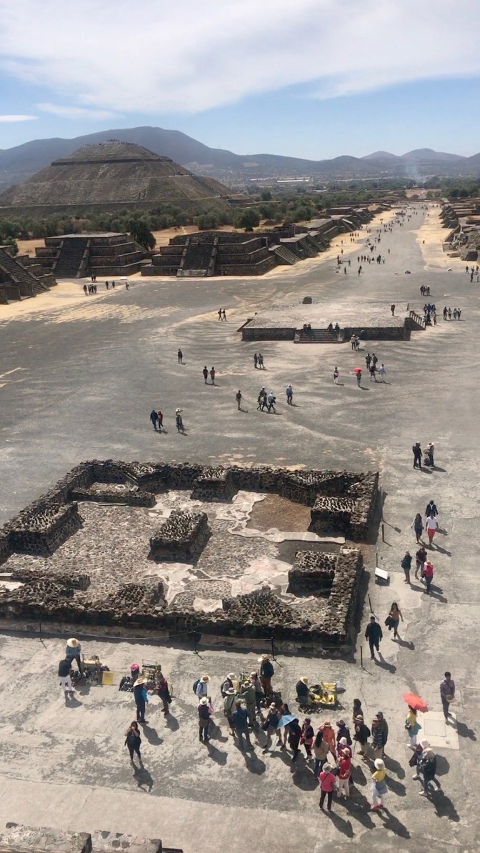 Frame-31-01-2020-09-15-57