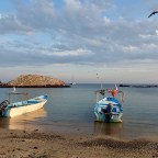 Isla Isabel ~ Escape To Paradise for Birds and Birders.