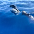 Cedros, Ascunsión, Mexico City and Other Places We’ve Visited These Last Four Months.