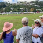 Back On Board TTR ~ Return, Repair, Horses and Heiva.