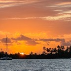 Like a Boomerang, We Keep Returning to Amanu